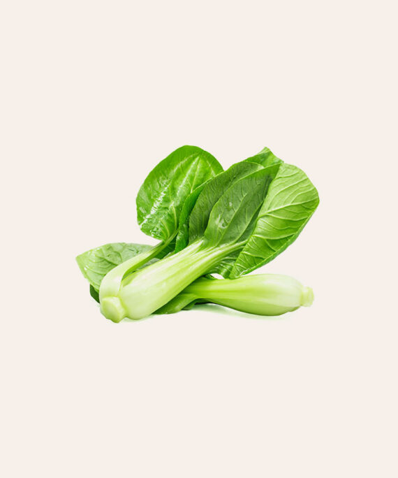 CHILI PEPPER - Image 5